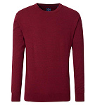 REDMOND PUL�VER 242400500 500